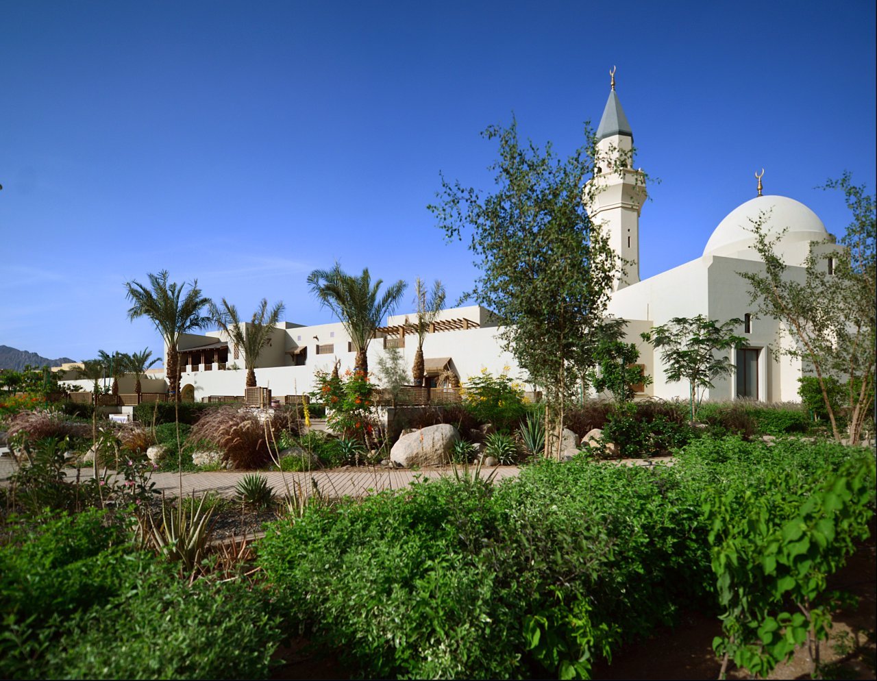 الحدائق